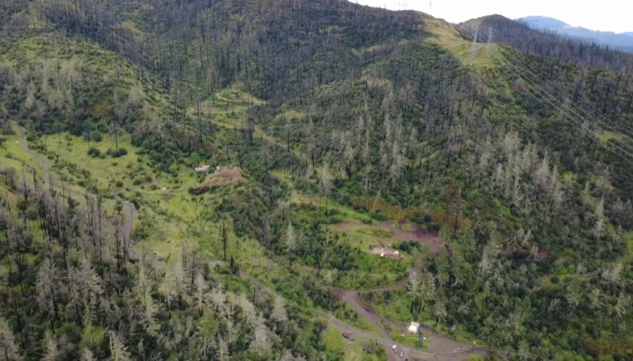 Aerial view of forested hillside parcels outside Santa Rosa